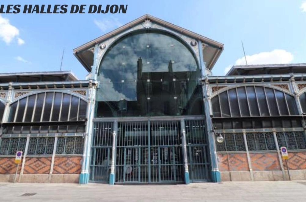 Le Nid - Hebergement Cosy Dijon Ngoại thất bức ảnh